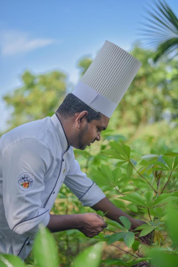 Subaseth Villa Anuradhapura Bagian luar foto