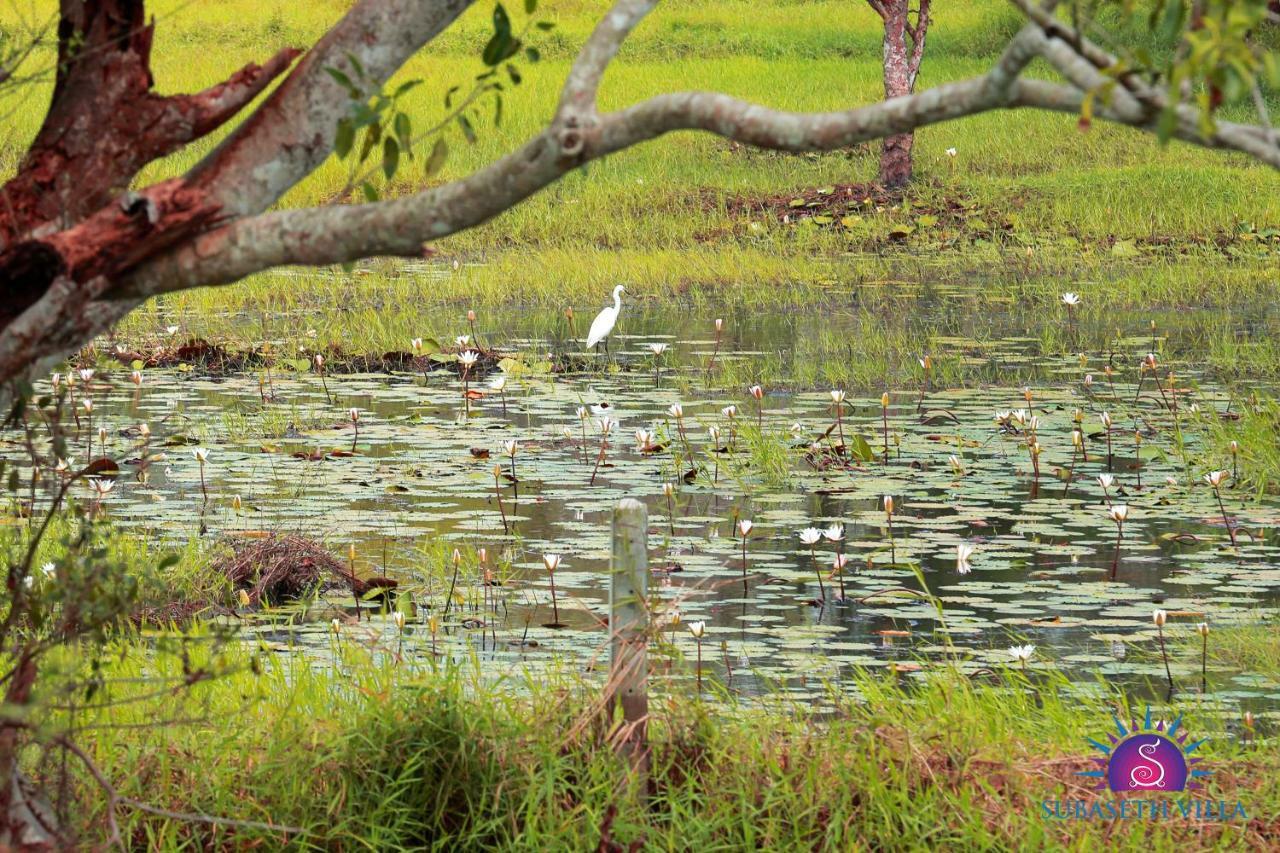 Subaseth Villa Anuradhapura Bagian luar foto